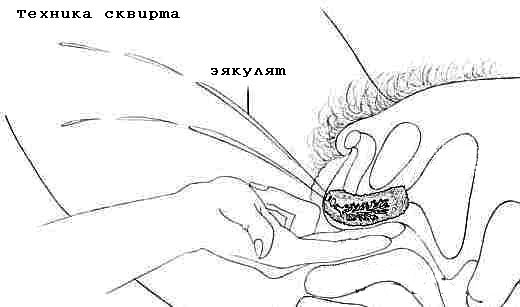 7 шагов к СКВИРТУ
